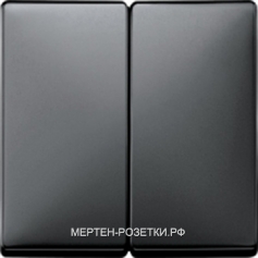Merten SD Черно-серый Клавиша 2-ая