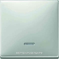Merten SD Сталь Клавиша 1-ая с/п (MTN438046) MTN43